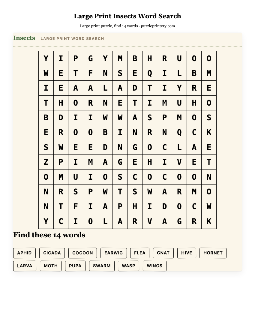 Large Print Insects Word Search printable preview